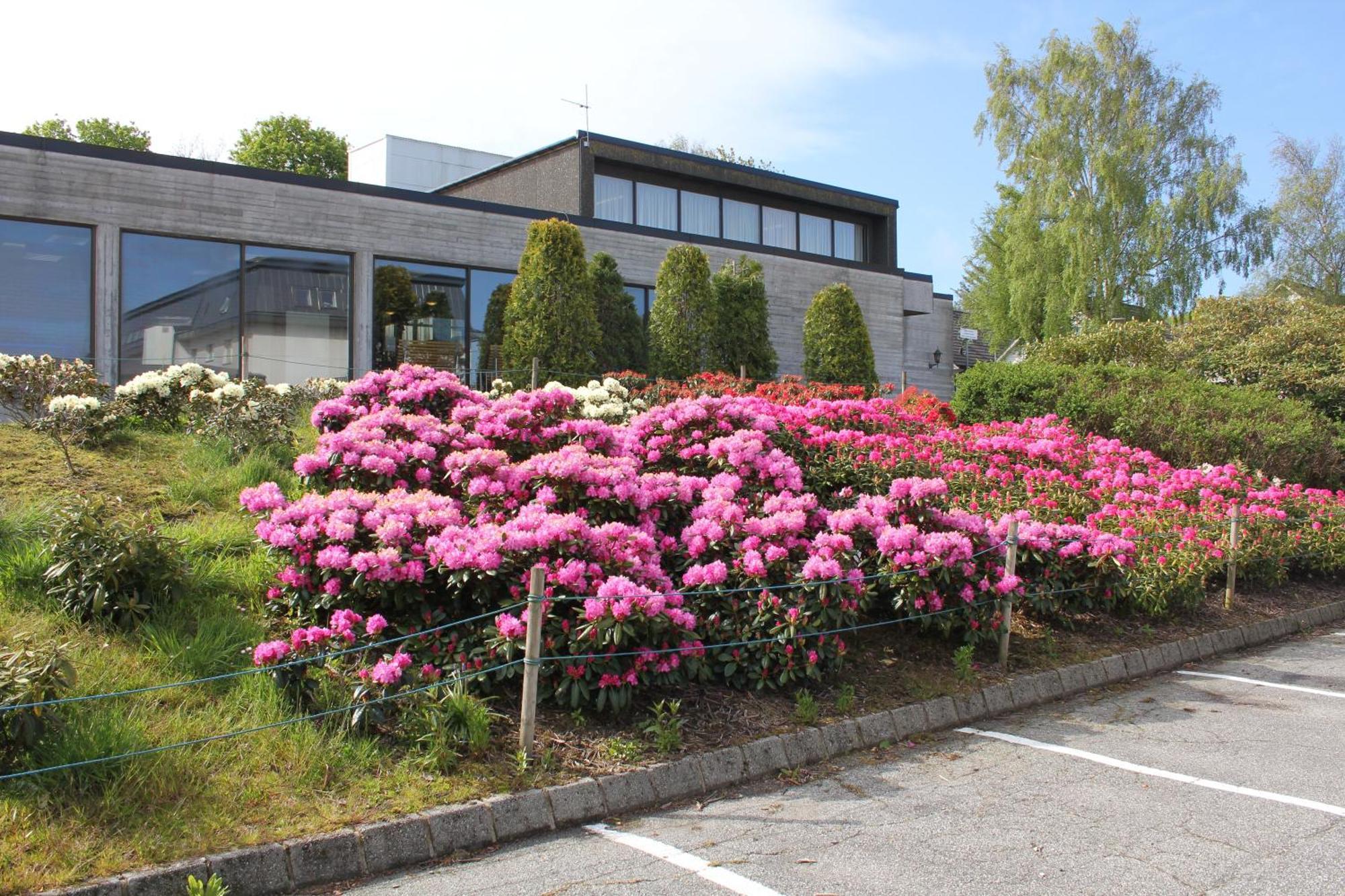 Solborg Folkehogskole Hostel Stavanger Bagian luar foto