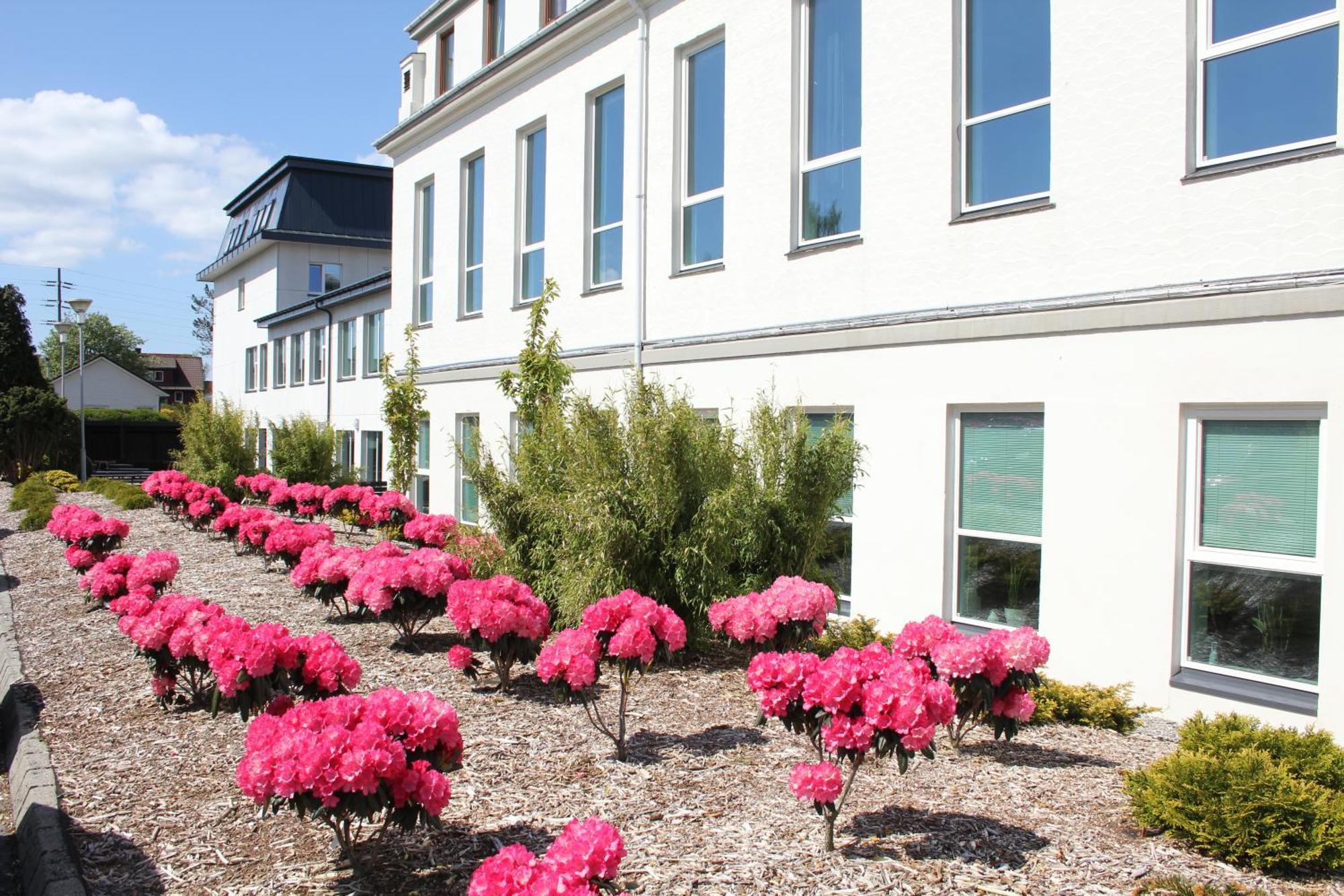 Solborg Folkehogskole Hostel Stavanger Bagian luar foto